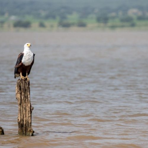 9-Day Omo Valley Tour