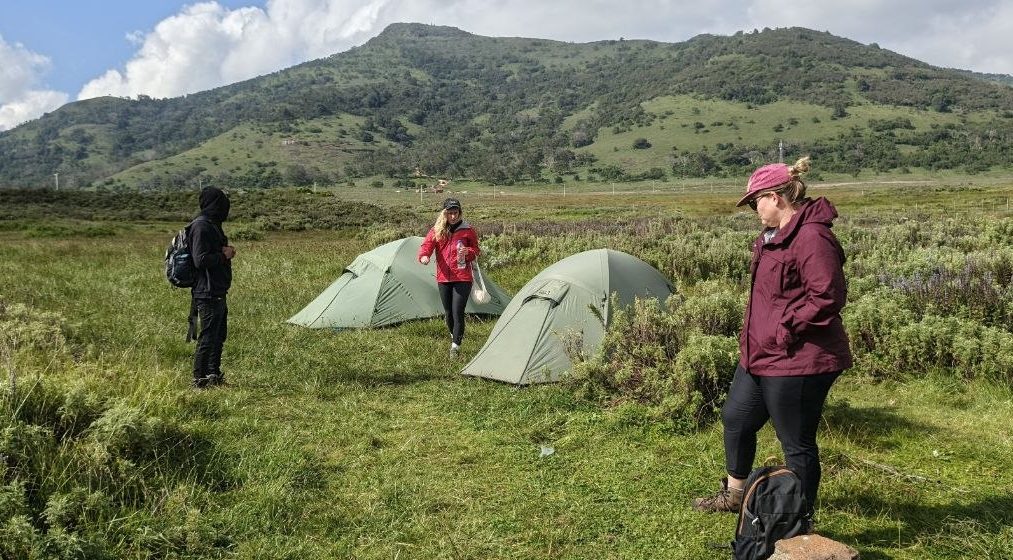 Bale Mountains
